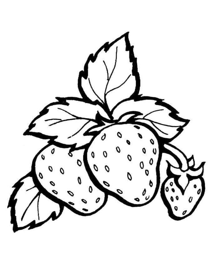 Aardbei gratis te printen