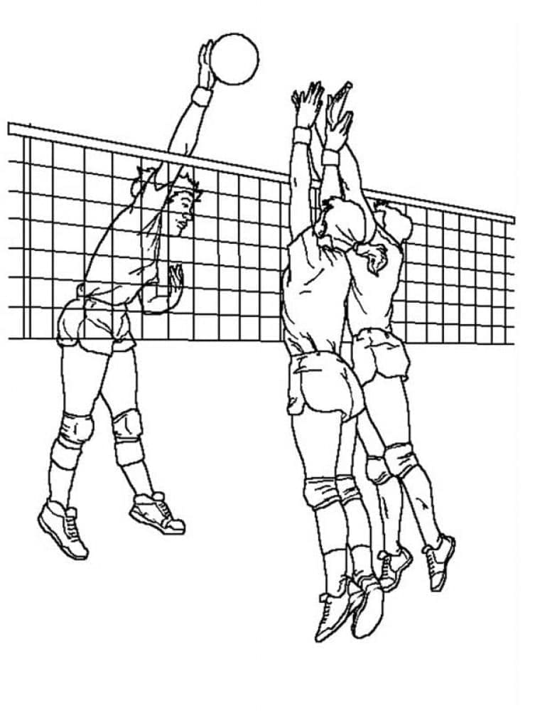 Afdrukbaar Gratis Volleybal
