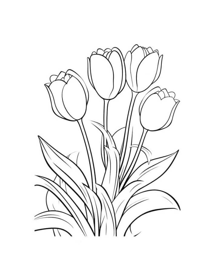 Afdrukbare Tulp afbeelding