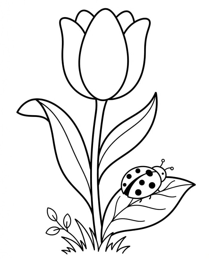 Tulpen kleurplaat