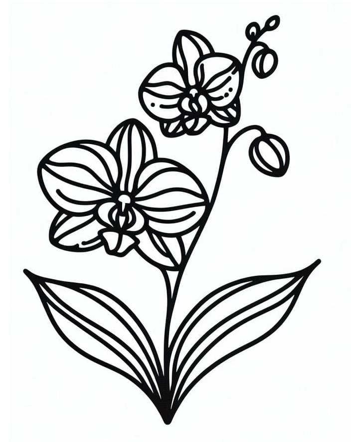 Afdrukbare gratis Orchidee
