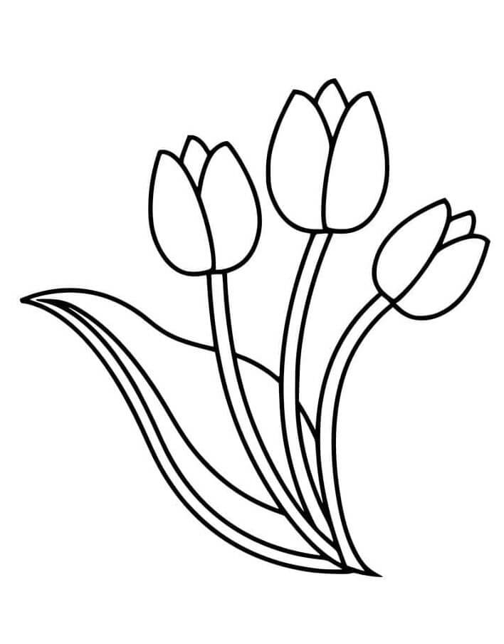 Afdrukbare gratis Tulp