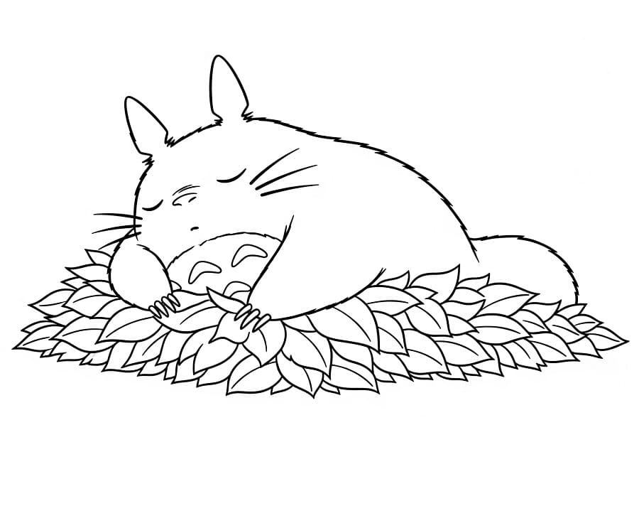 Anime Totoro