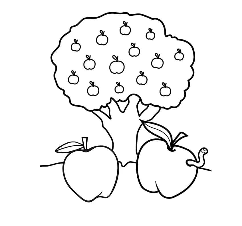 Appel voor kinderen van 5 jaar