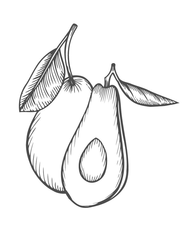 Avocado afbeelding