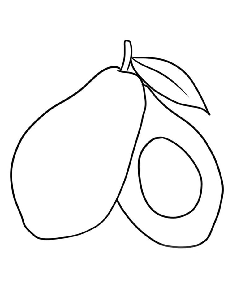 Avocado printen