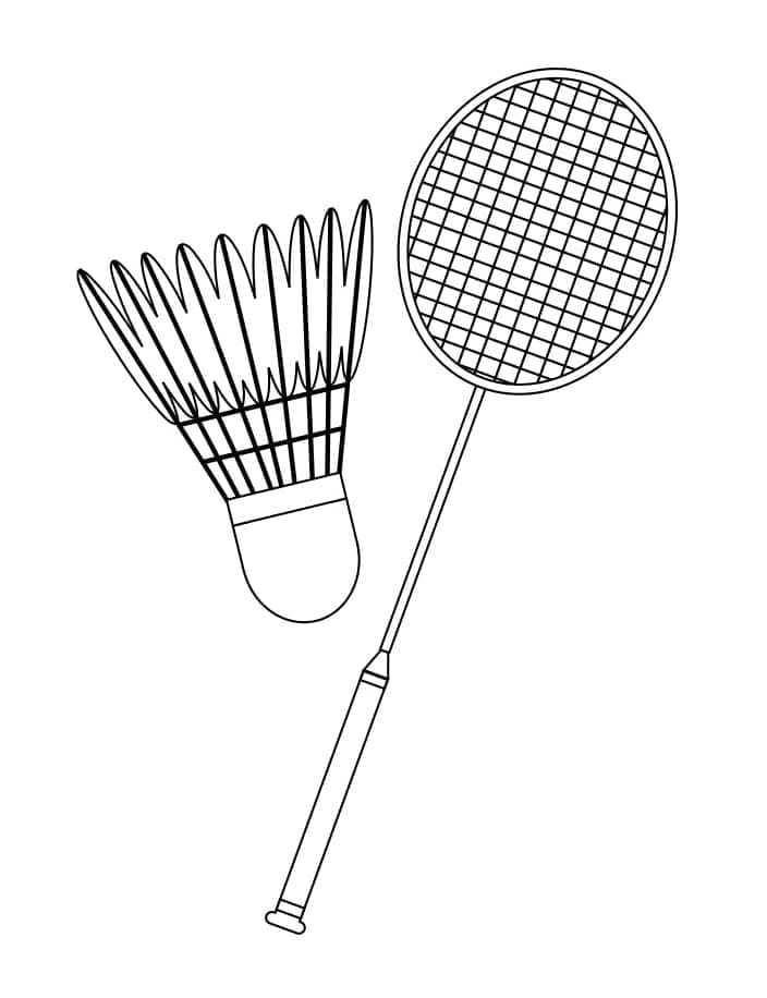 Badminton 1