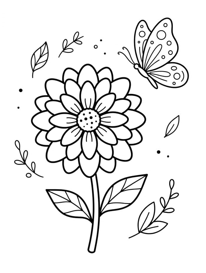 Basis Dahlia