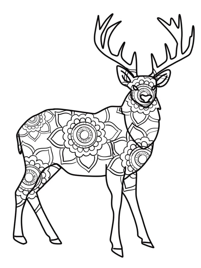 Dieren Mandala kleurplaat