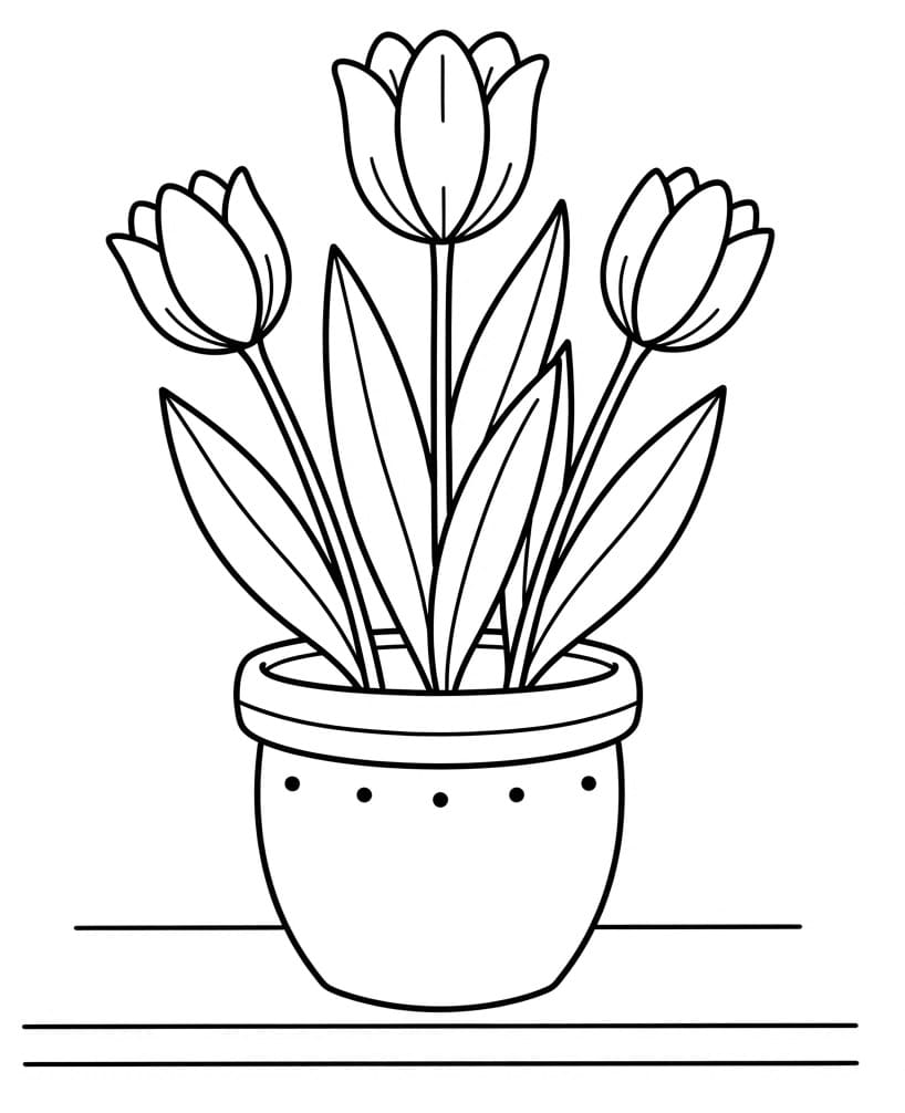 Basis Tulp