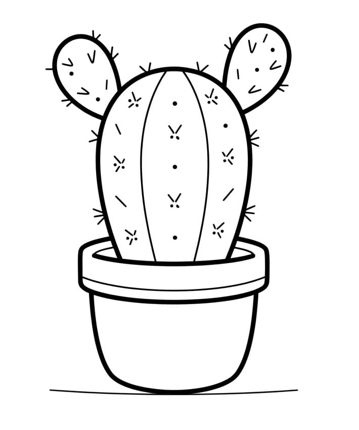 Basis cactus