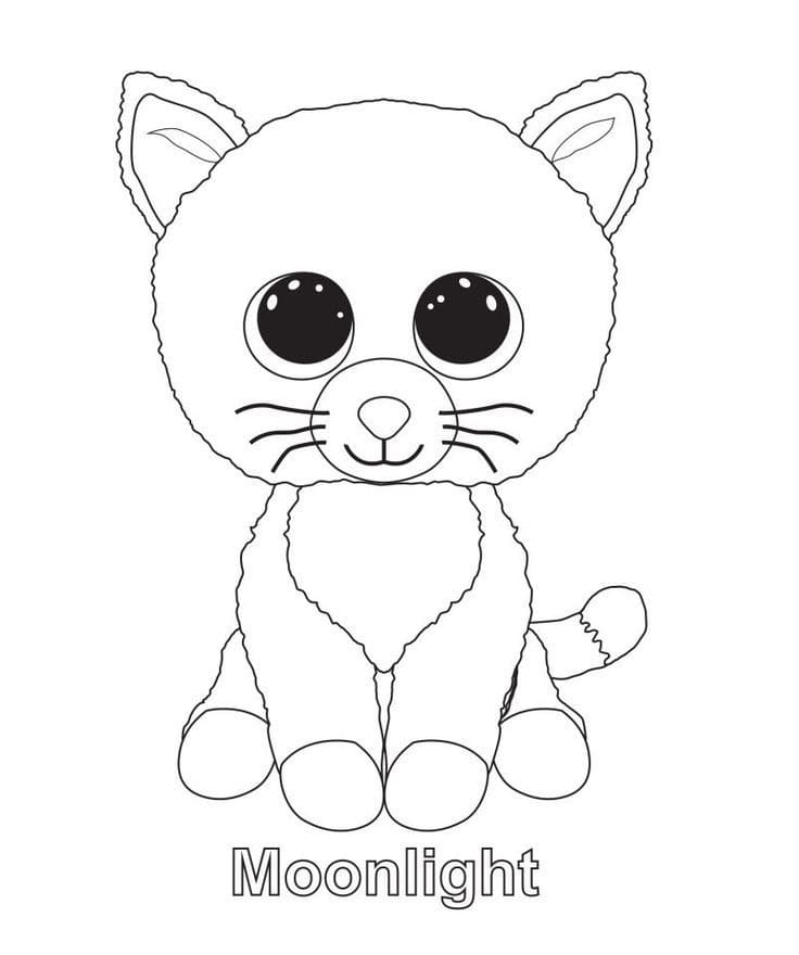 Beanie Boo (14)