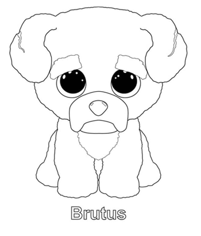 Beanie Boo (16)