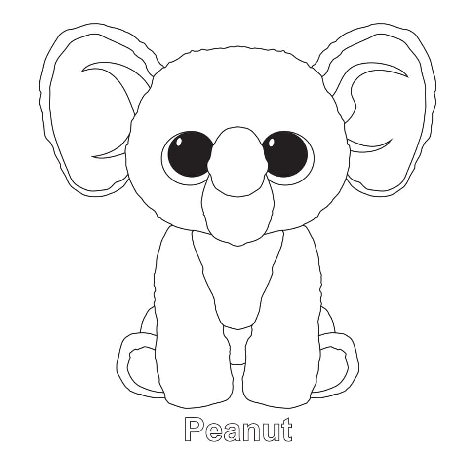 Beanie Boo (4)