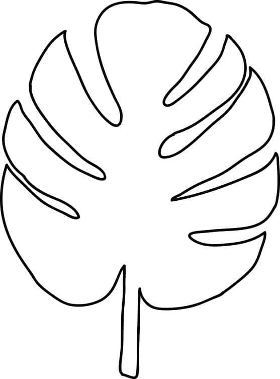 Blad afbeelding