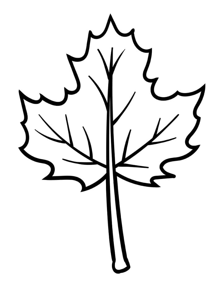 Blad gratis