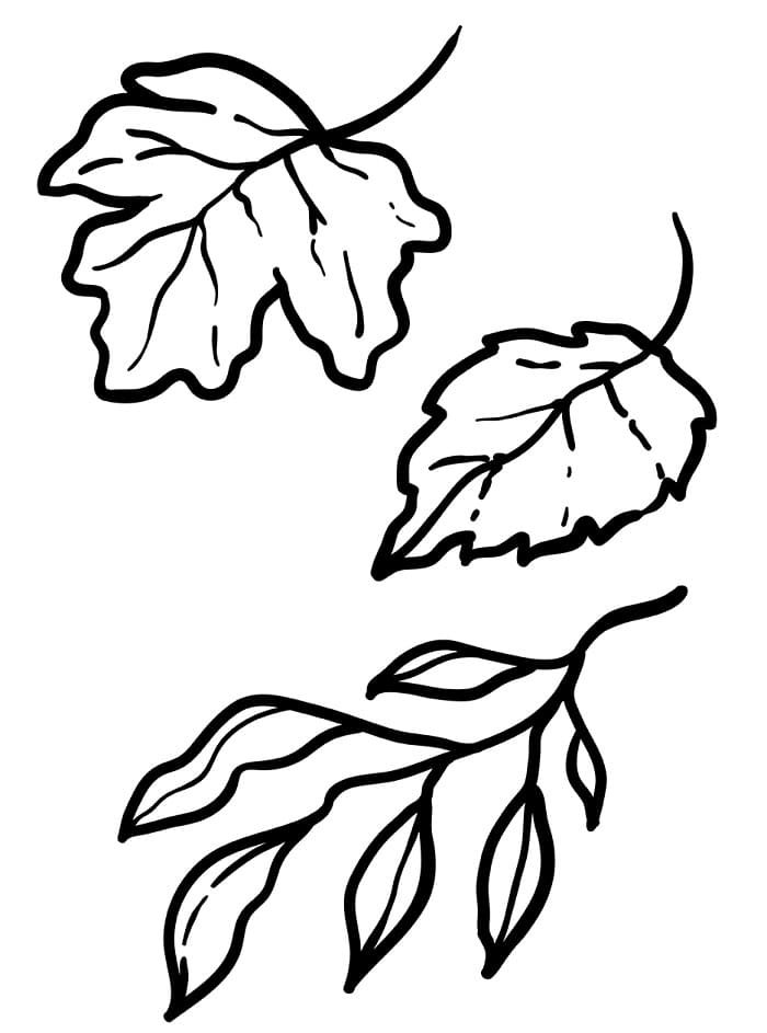 Blad kosteloos