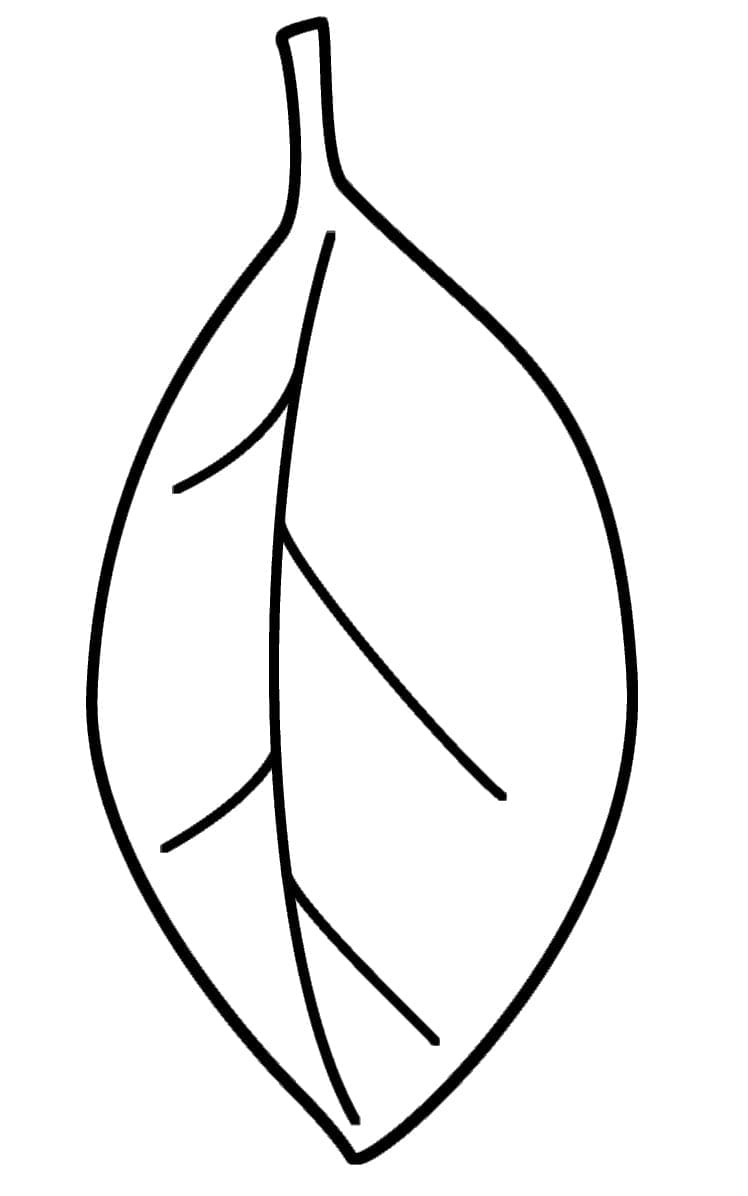 Blad om te printen