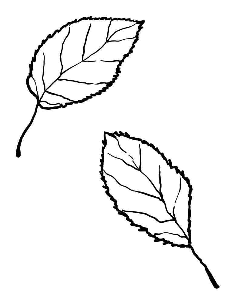 Blad printen