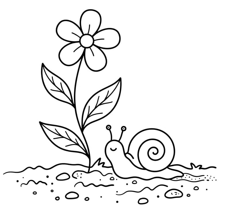 Bloem en slak