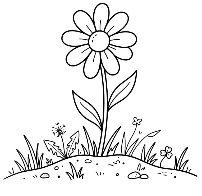 Bloem op de grond