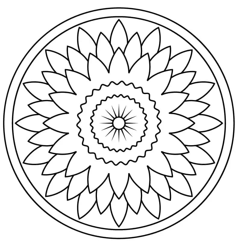 Bloemenmandala om af te Drukken