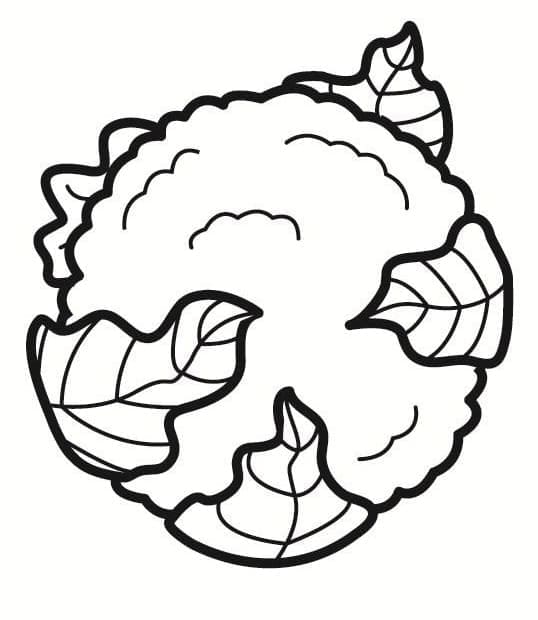 Bloemkool afbeelding