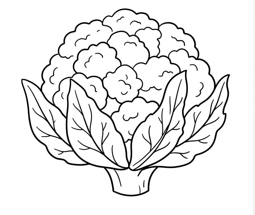 Bloemkool kosteloos