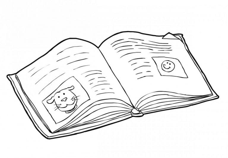 Boek (29)