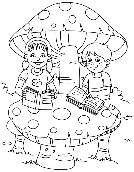 Boek (7)