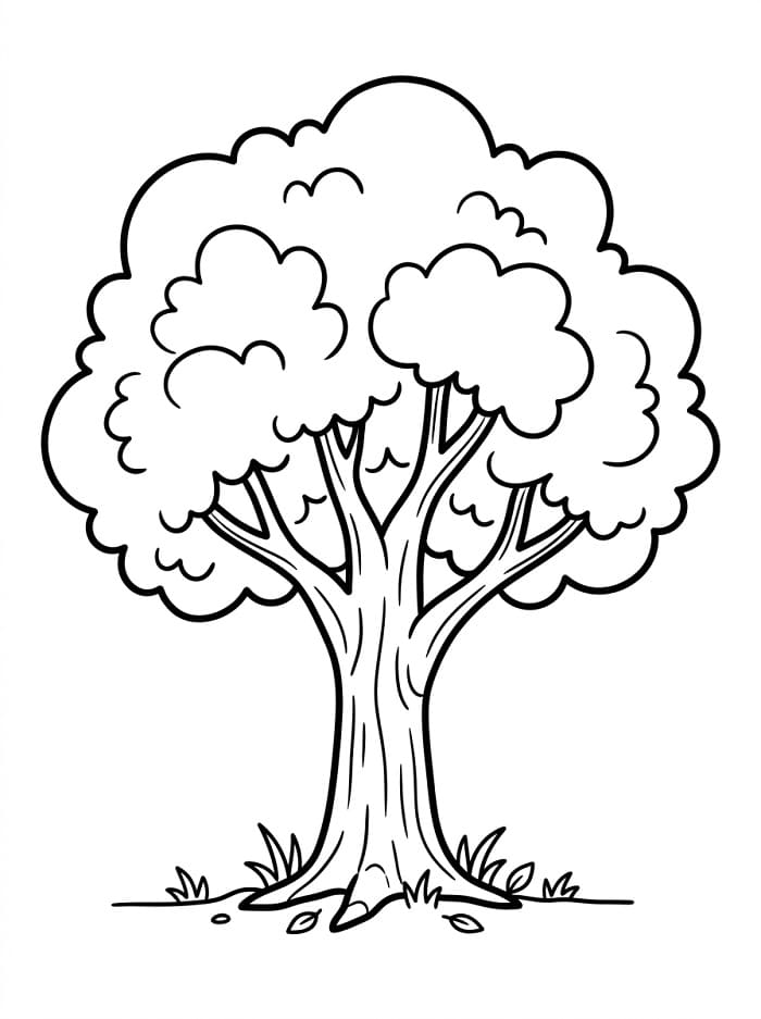 Bomen kleurplaat