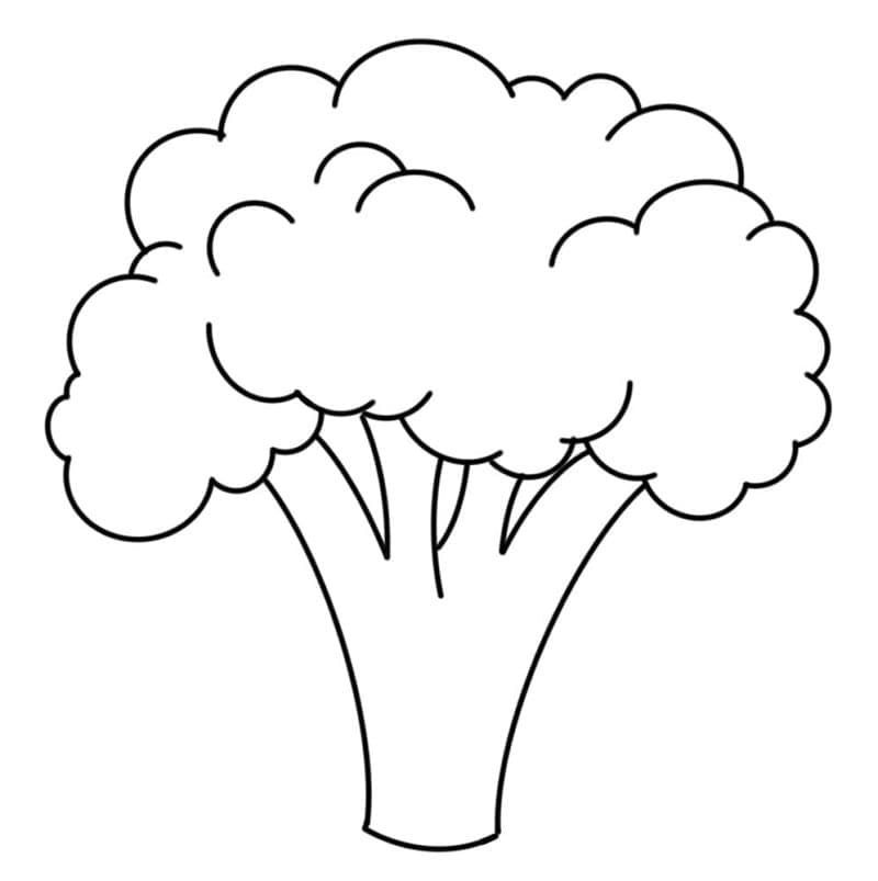 Broccoli afbeelding