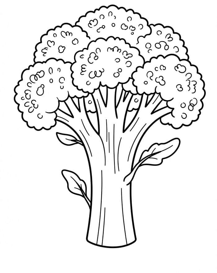 Broccoli kleurplaat