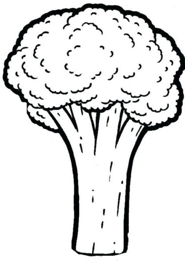 Broccoli voor kinderen