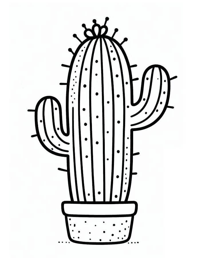 Cactus 1