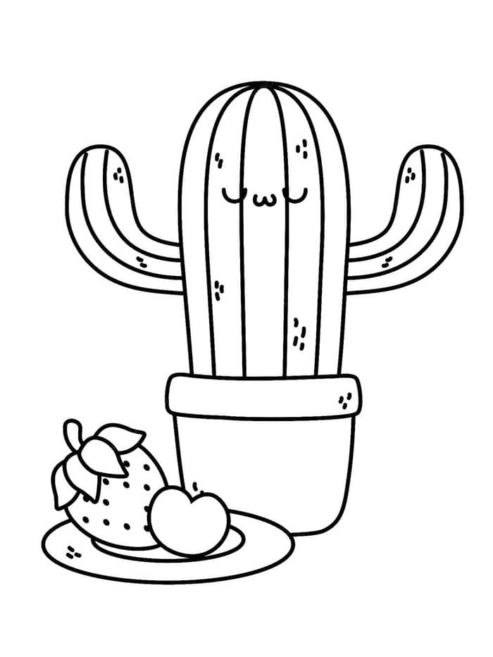 Cactus afbeelding
