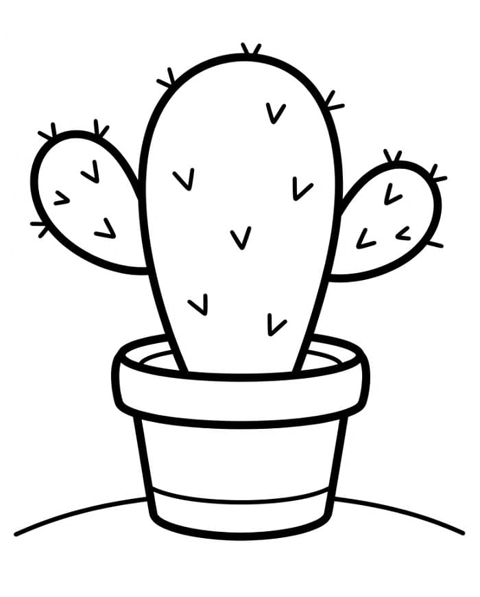 Cactus gratis