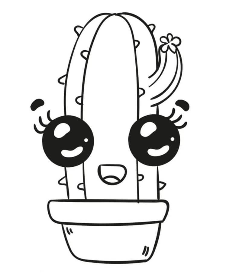 Cactus voor kinderen van 2 jaar