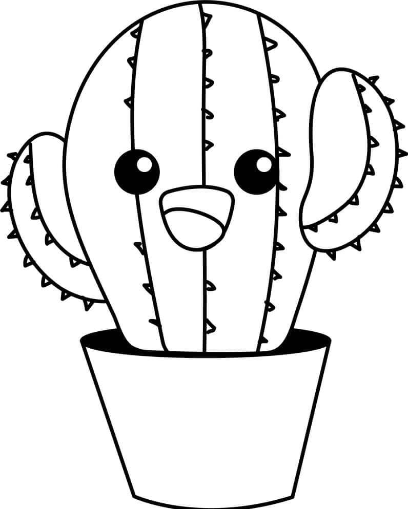 Cactus voor kinderen van 4 jaar