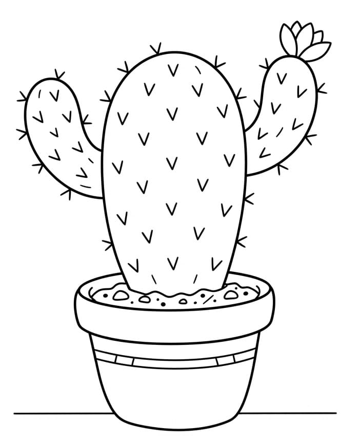 Cactusplant