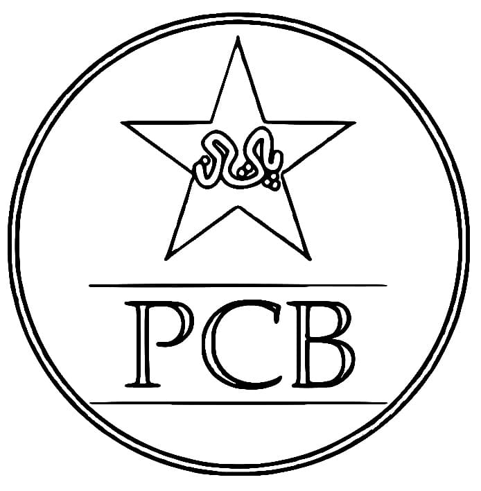 Cool Cricket