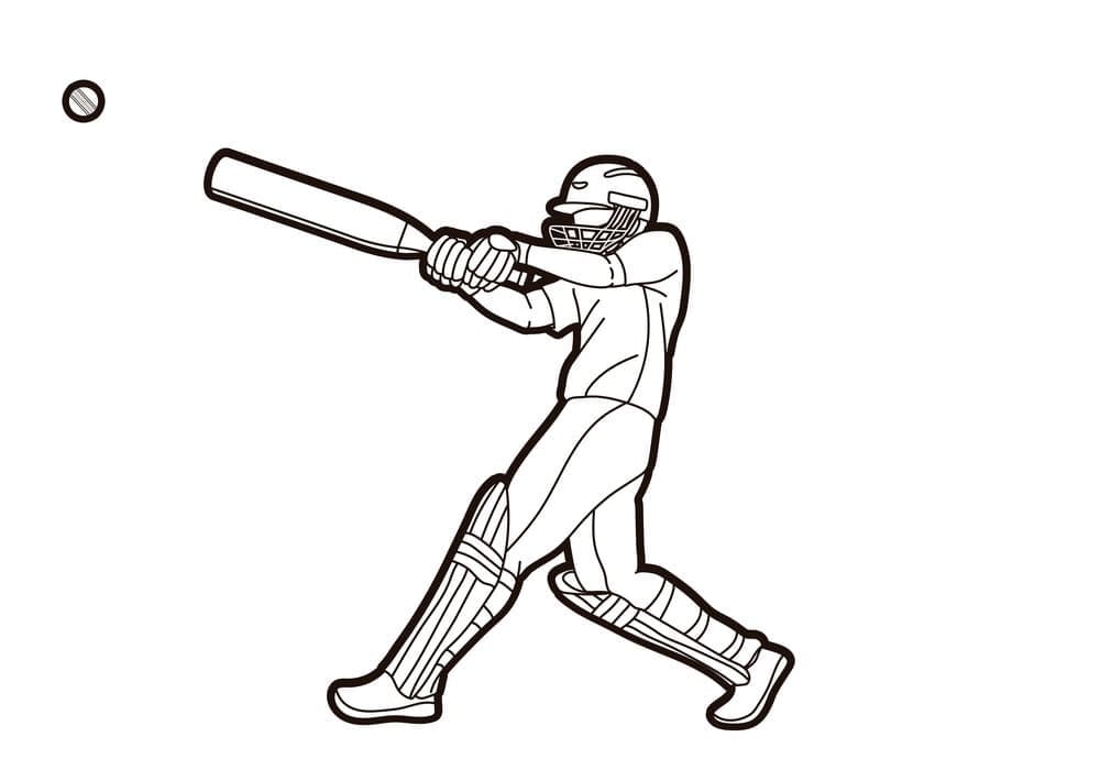 Cricket Afbeelding