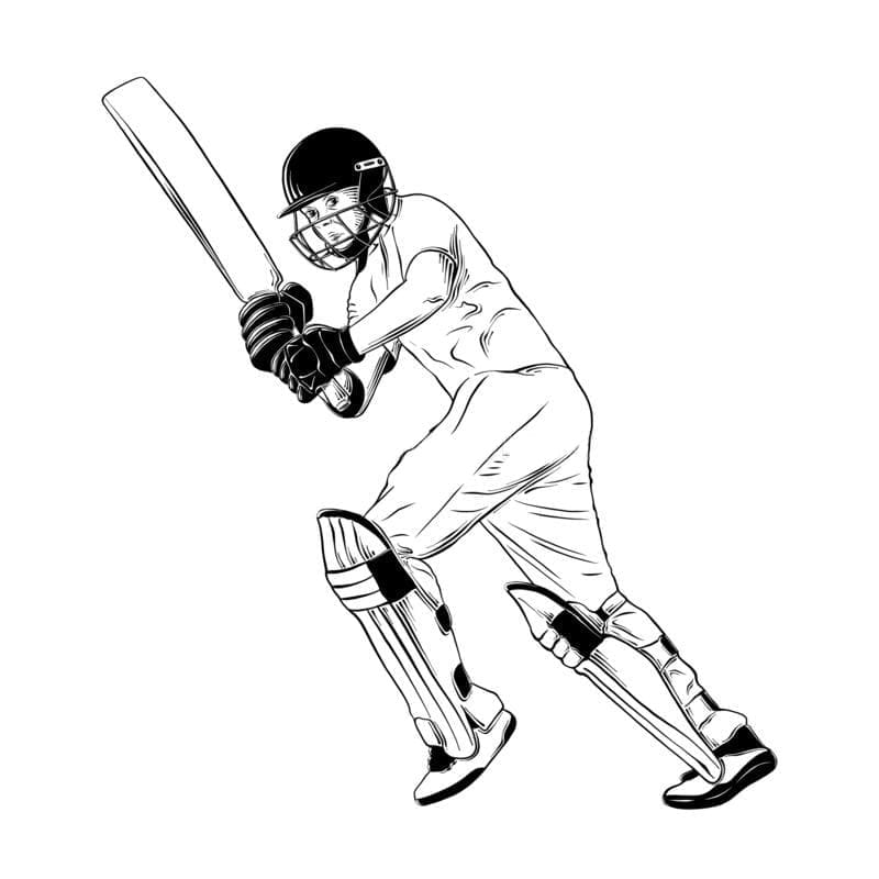 Cricket Spelen