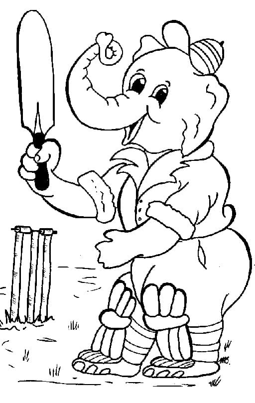 Cricket om te Printen