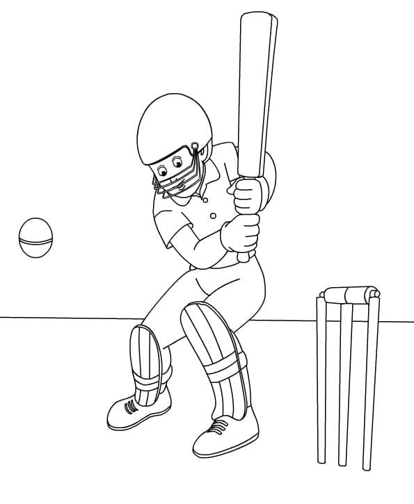 Cricket voor Kinderen van 1 Jaar