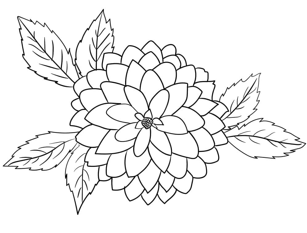 Dahlia gratis voor kinderen