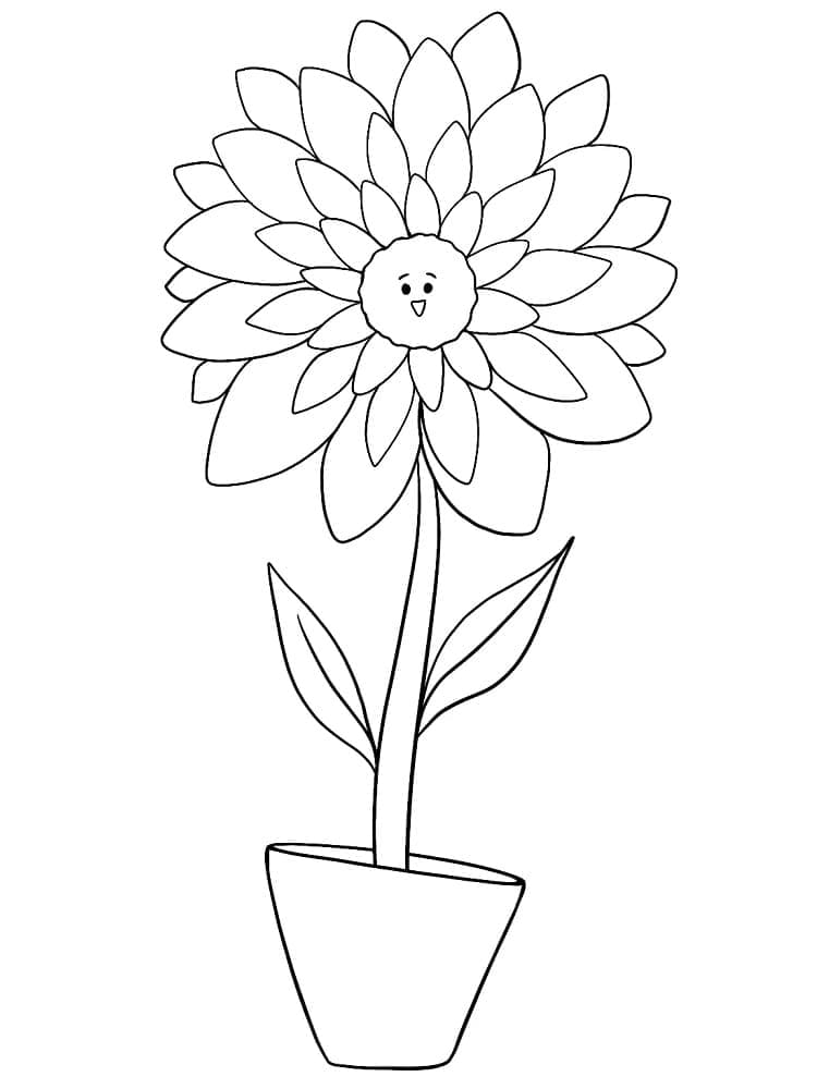 Dahlia voor kinderen