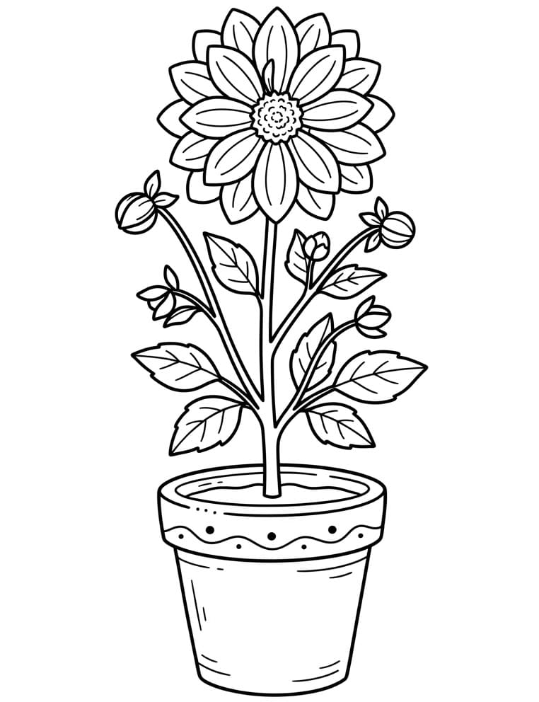 Dahliabloem