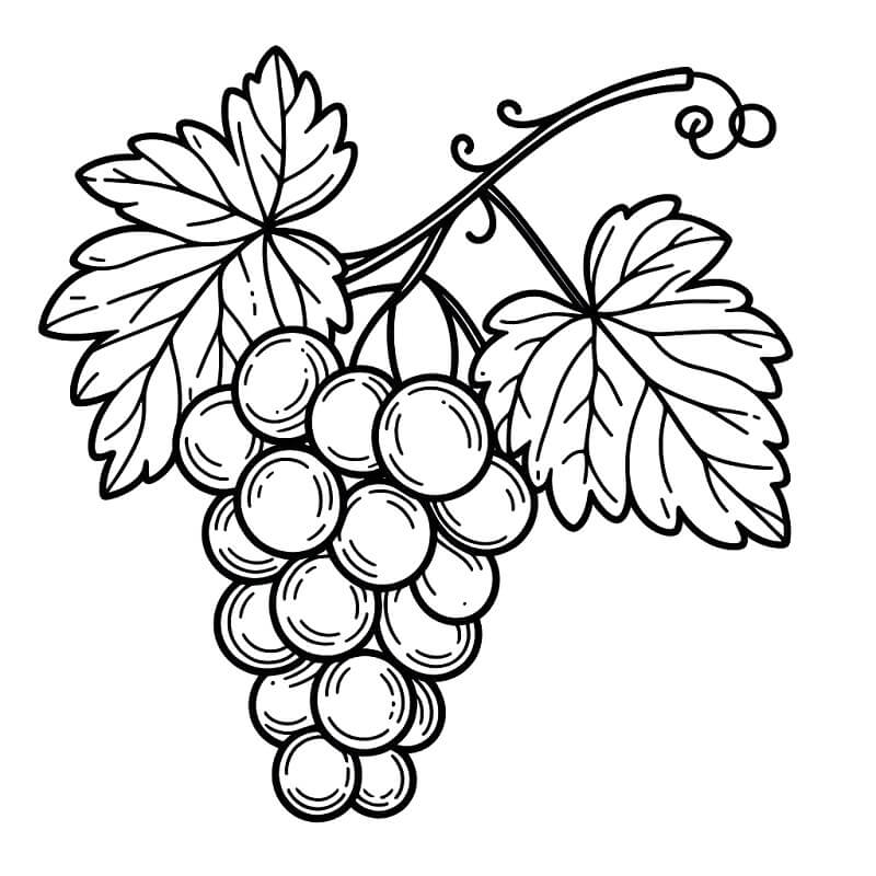 Druiven kosteloos
