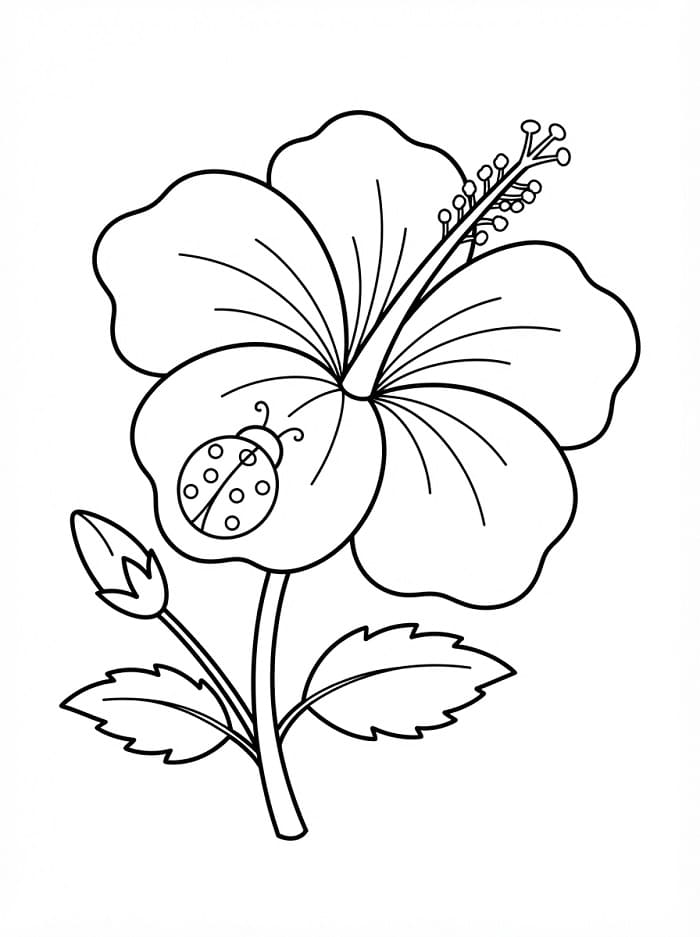 Hibiscus kleurplaat